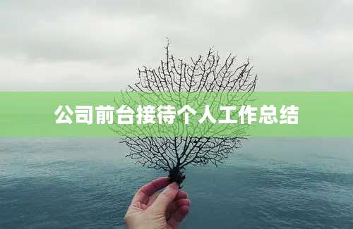 公司前台接待个人工作总结