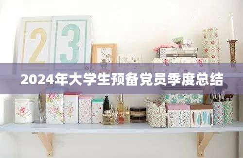2024年大学生预备党员季度总结
