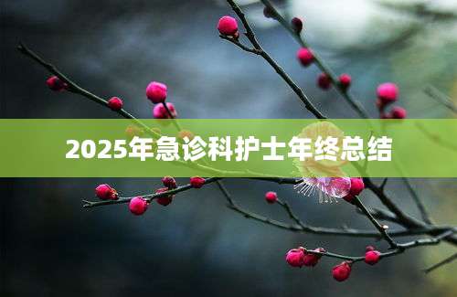 2025年急诊科护士年终总结