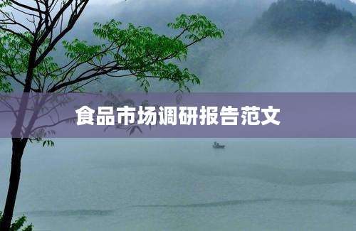 食品市场调研报告范文