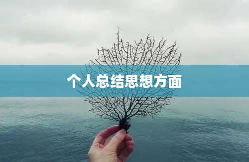 个人总结思想方面