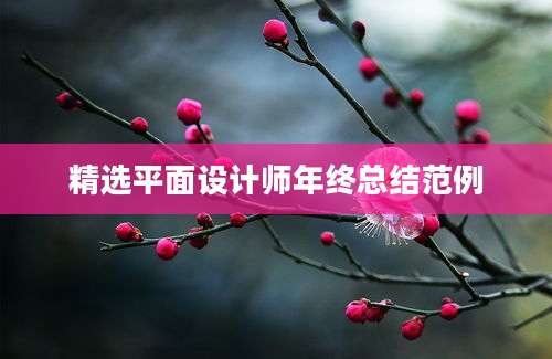 精选平面设计师年终总结范例