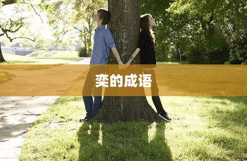 奕的成语