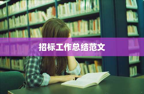 招标工作总结范文