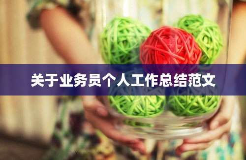 关于业务员个人工作总结范文
