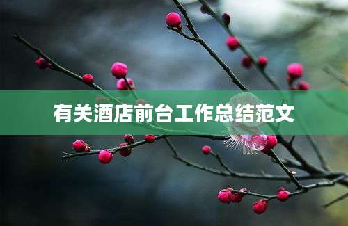有关酒店前台工作总结范文