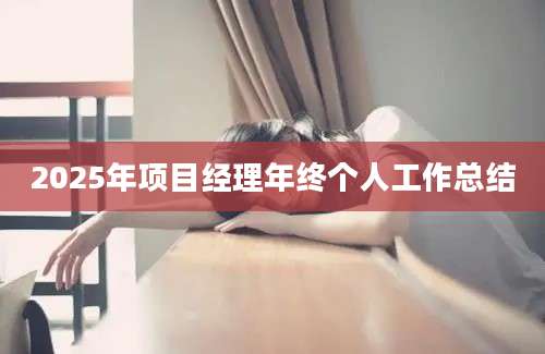 2025年项目经理年终个人工作总结