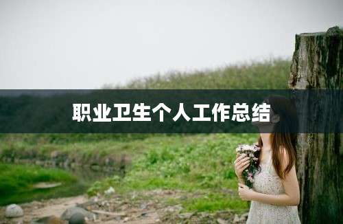 职业卫生个人工作总结