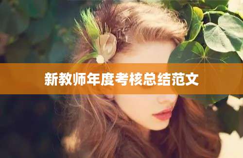 新教师年度考核总结范文