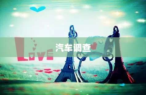 汽车调查