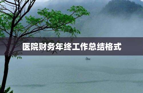 医院财务年终工作总结格式