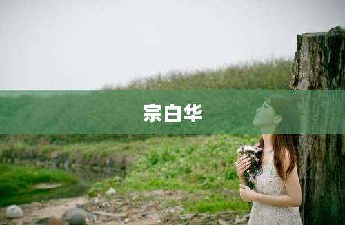 宗白华
