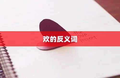 欢的反义词