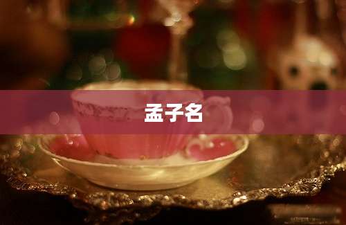 孟子名