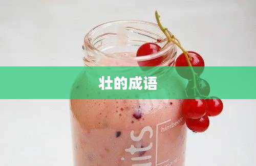 壮的成语