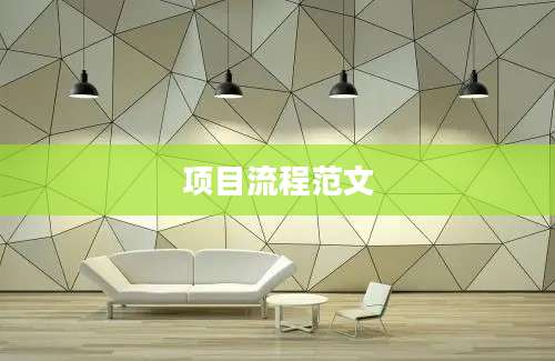项目流程范文