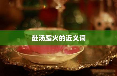 赴汤蹈火的近义词