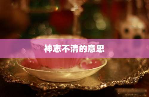 神志不清的意思