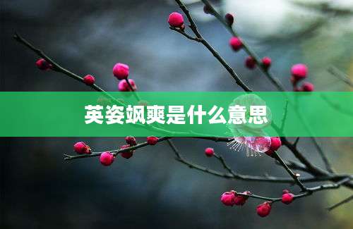 英姿飒爽是什么意思