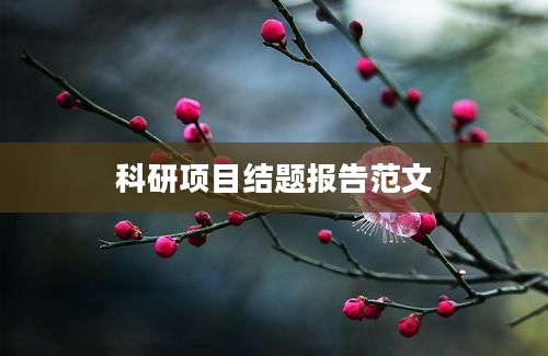 科研项目结题报告范文