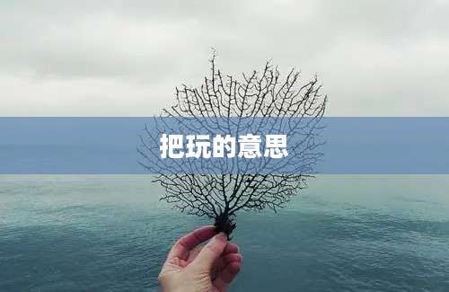 把玩的意思