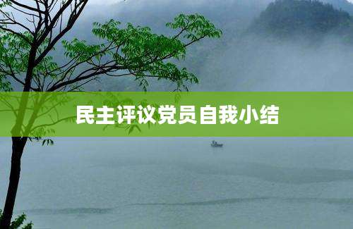 民主评议党员自我小结