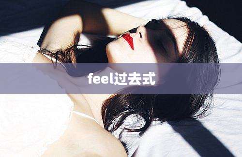 feel过去式