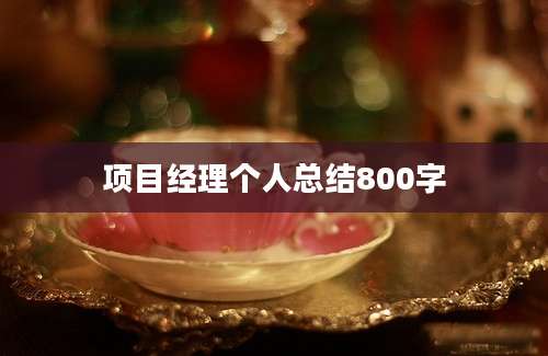 项目经理个人总结800字