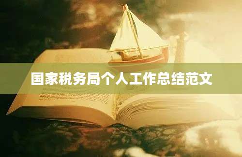 国家税务局个人工作总结范文