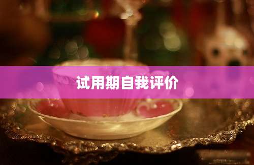 试用期自我评价