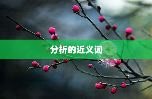 分析的近义词
