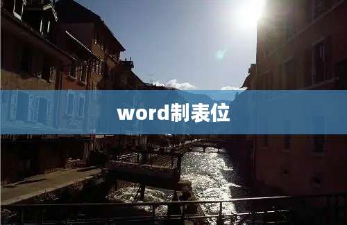 word制表位