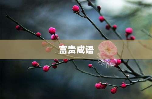 富贵成语