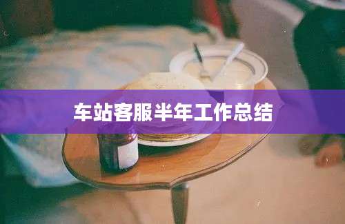 车站客服半年工作总结