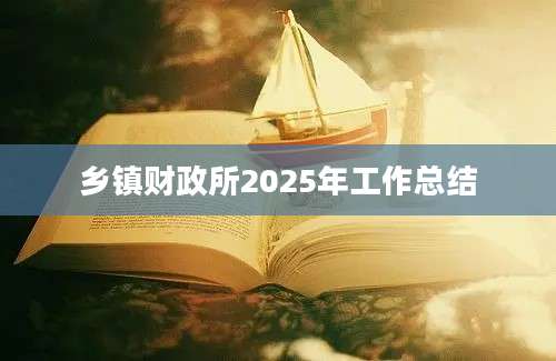 乡镇财政所2025年工作总结