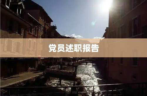 党员述职报告