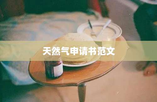 天然气申请书范文