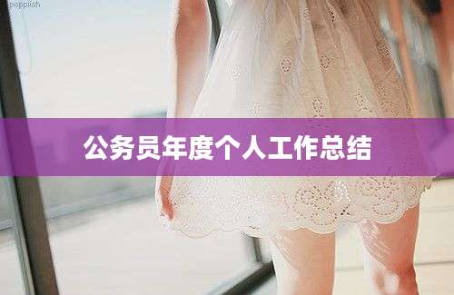 公务员年度个人工作总结