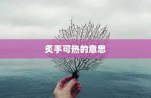 炙手可热的意思