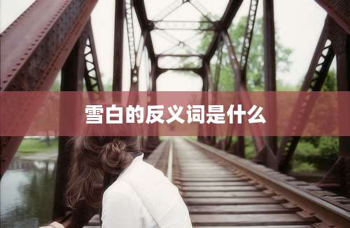 雪白的反义词是什么