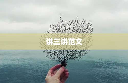 讲三讲范文