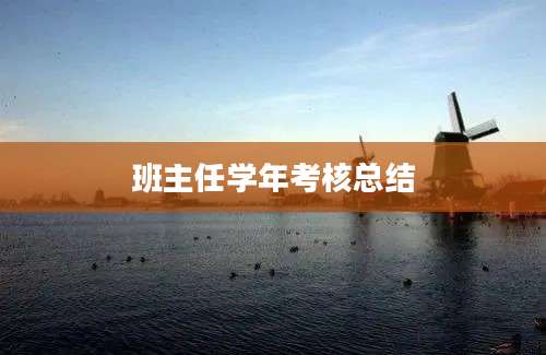 班主任学年考核总结