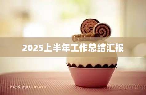 2025上半年工作总结汇报