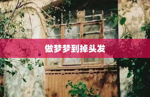 做梦梦到掉头发