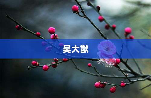 吴大猷