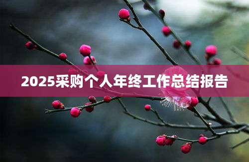 2025采购个人年终工作总结报告