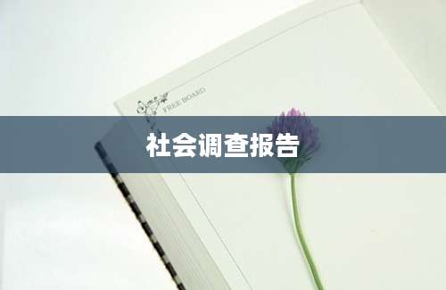 社会调查报告