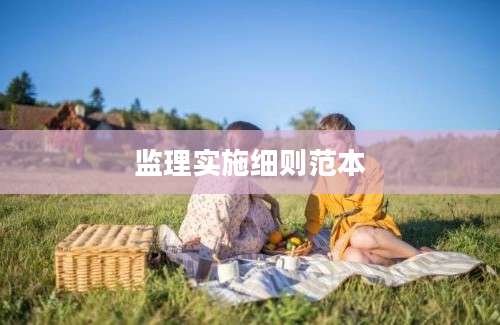 监理实施细则范本