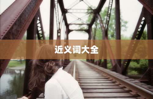近义词大全