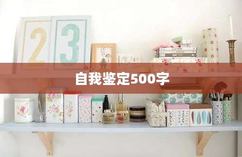 自我鉴定500字